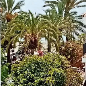 Old Town , Estepona Spanien